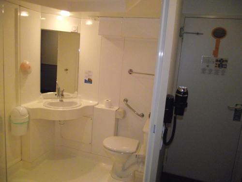 圣萨蒂南勒芒快克宫酒店的一间带水槽、卫生间和镜子的浴室