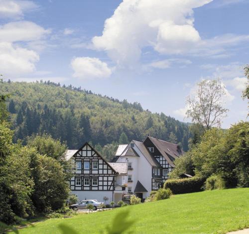 施马伦贝格Hotel & Gasthof Hubertushöhe - Ihr Hotel für Urlaub mit Hund的山丘上的房子,背景是山