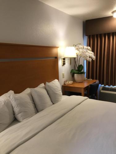 亨廷顿海滩海景汽车旅馆的一张带白色枕头的床和一张带台灯的桌子
