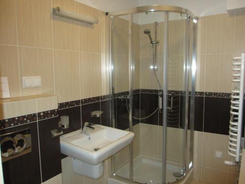 考斯赛力克Krokusowa Polana的一间带水槽和淋浴的浴室