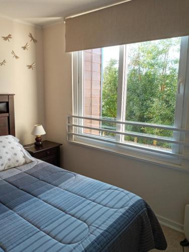 巴拉斯港Plaza Brintrup的一间卧室设有蓝色的床和大窗户