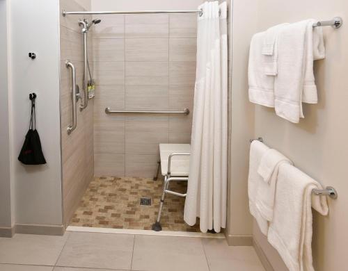 麦迪逊维尔Holiday Inn Express & Suites - Madisonville, an IHG Hotel的带淋浴和步入式淋浴间的浴室