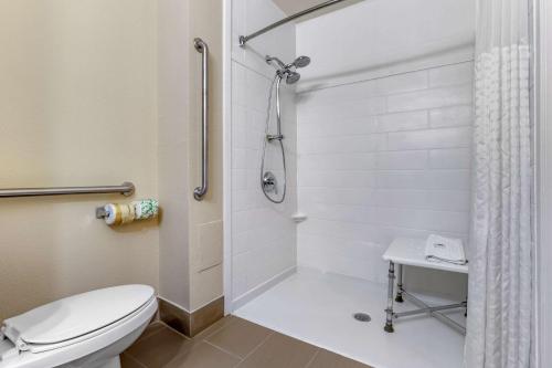 威尔明顿威尔明顿大学康福特茵酒店的一间带卫生间和淋浴的浴室