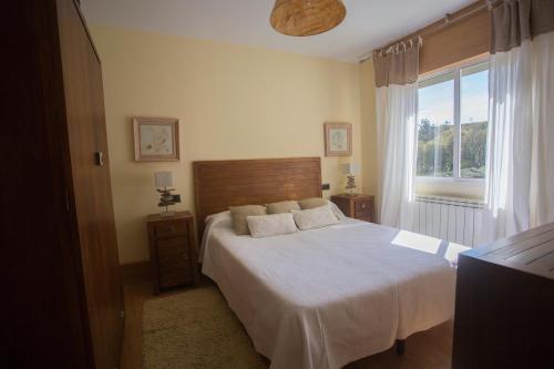 圣地亚哥－德孔波斯特拉纱黎拉公寓的一间卧室设有一张大床和一个窗户。