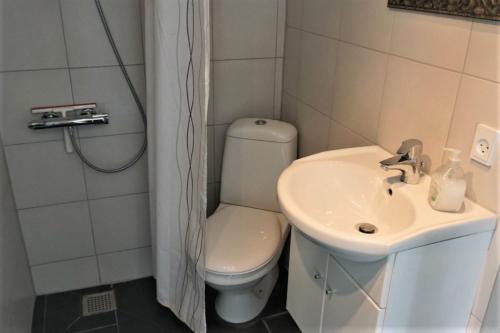 凯特明讷Kerteminde Byferie - Hyrdevej 83, 85K的一间带卫生间和水槽的浴室
