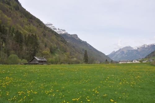 公寓周边自然景观