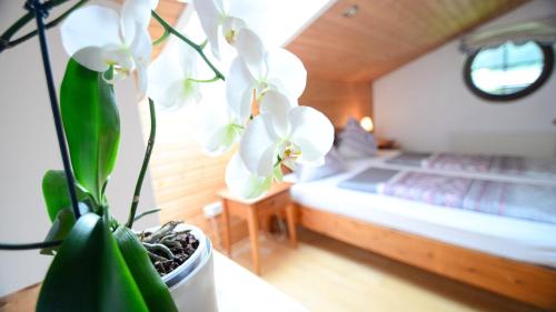 克查赫左博斯公寓的一间卧室配有一张床和盆栽植物