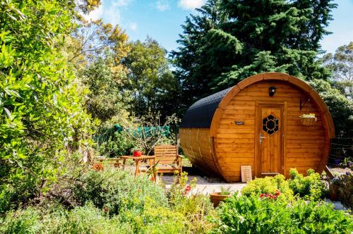 布伦海姆Marlborough Wine Barrel Cabins的花园内带长凳的木制小屋