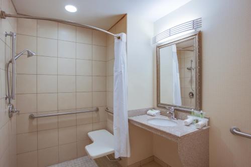 格林斯伯勒格林斯伯勒东快捷假日&套房酒店的一间带水槽、卫生间和镜子的浴室