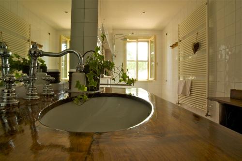 BevazzanaB&B Casa Volton的一间带大水槽和水龙头的浴室