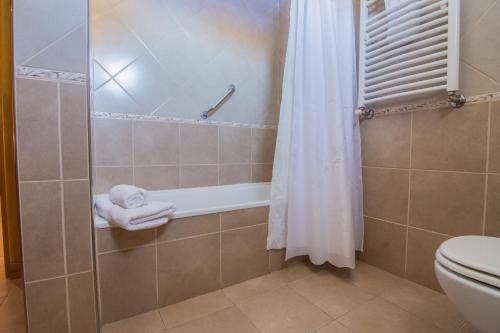 厄尔查尔坦Hostería Vertical Lodge的带淋浴、卫生间和浴帘的浴室