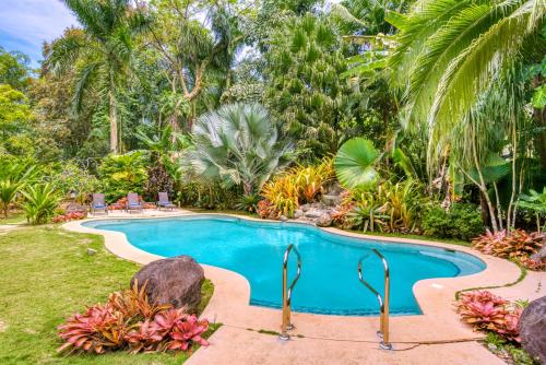 别霍港肖万达山林小屋的棕榈树花园内的游泳池