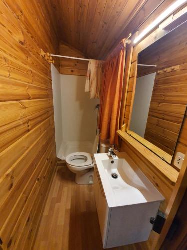 特尔河畔比拉利翁加康卡德特尔洋房酒店的浴室配有白色水槽和卫生间。