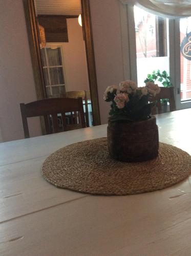 图尔库Pastella的坐在桌子上的一个盆栽植物