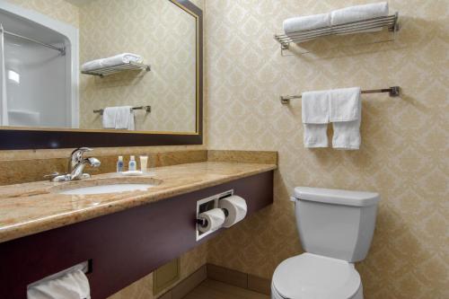 莱维斯Comfort Inn & Suites Levis / Rive Sud Quebec city的一间带水槽、卫生间和镜子的浴室