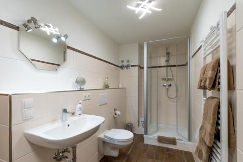 福希海姆Haus Burk 5.0的一间带水槽、卫生间和淋浴的浴室