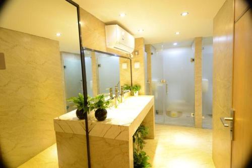 深圳博山公寓的一间带水槽和淋浴的浴室