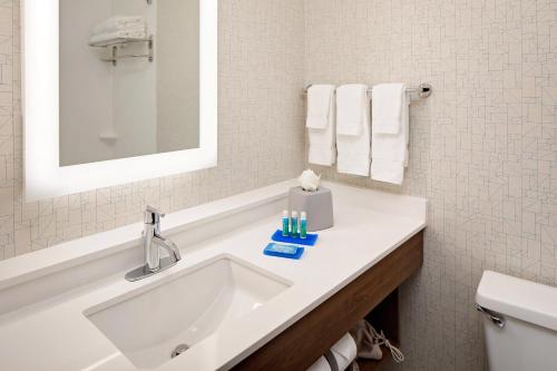 哈里斯堡东哈里斯堡智选假日酒店的浴室配有盥洗盆、卫生间和毛巾。