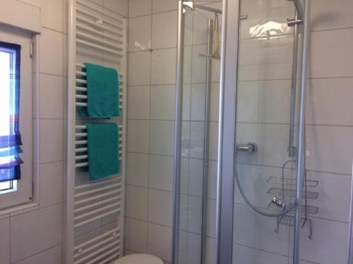 米尔滕贝格Ferienwohnung Anke Kaufmann的浴室设有玻璃淋浴间和卫生间