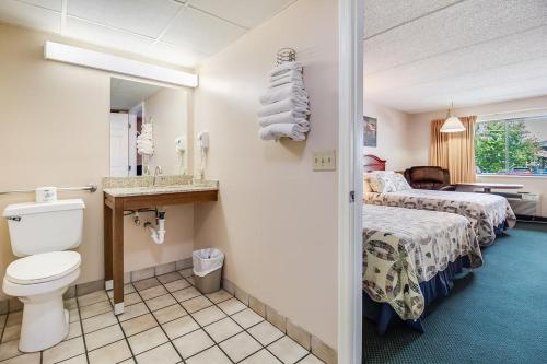 鸽子谷山风汽车旅馆 的一间带卫生间的浴室和一张位于客房内的床。