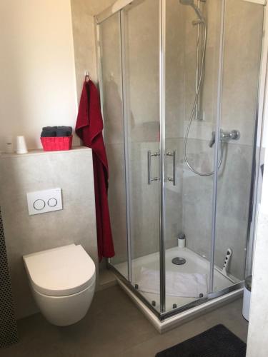 汉诺威Maggies-Apartment-Hannover的带淋浴和卫生间的浴室