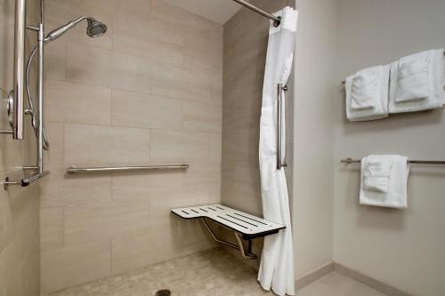 Holiday Inn Express & Suites - Elizabethtown North, an IHG Hotel的一间浴室