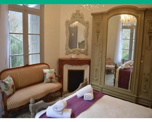 PuilaurensLe Petit Chateau的客厅设有壁炉和镜子