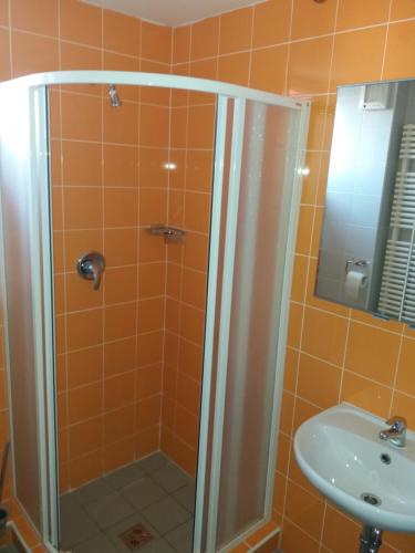 帕索尔维基Vila Moravia的带淋浴和盥洗盆的浴室