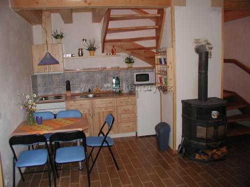 VýprachticeChata u lesa的厨房配有炉灶和桌椅