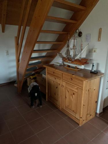 多鲁姆纽菲尔德Ferienhaus Anna的一只狗站在楼梯上的船房里