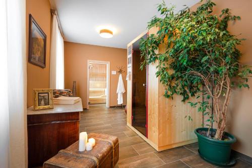 巴德加斯坦怡东别墅休闲酒店的一间在房间内种植了大盆植物的浴室