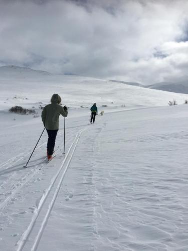 Grotli葛洛特里赫耶尔酒店的两个人在雪中越野滑雪