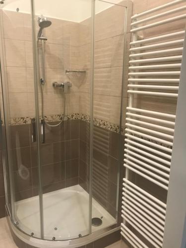 利贝雷茨纳瓦盆斯旅馆的浴室里设有玻璃门淋浴