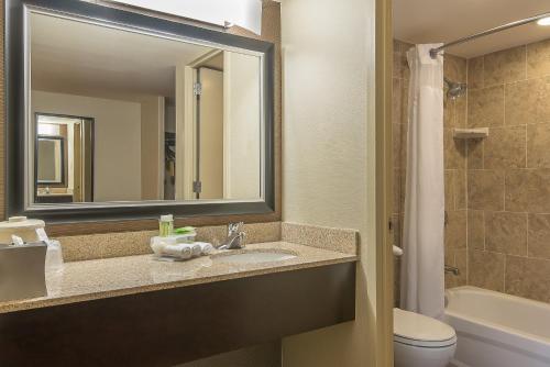 费城费城市中心快捷假日酒店的一间带水槽、镜子和卫生间的浴室