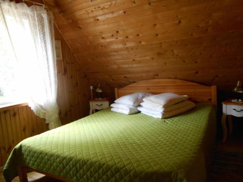 KassariRanna Talu Puhkemaja的木制客房内的一间卧室配有一张绿色的床