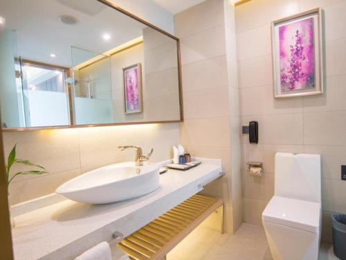 麗枫酒店·巴中财富中心店的一间浴室