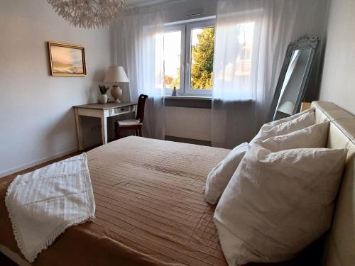 奥芬堡Haus 15的一间卧室配有一张带窗户的床和一张书桌