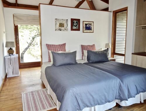 赫卢赫卢韦Imani Bush House & Silver Sky Chalet的一间卧室设有蓝色的床和窗户。