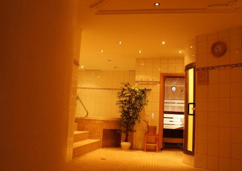 盖洛斯瑞德霍夫酒店的一间在房间内栽有盆子的浴室