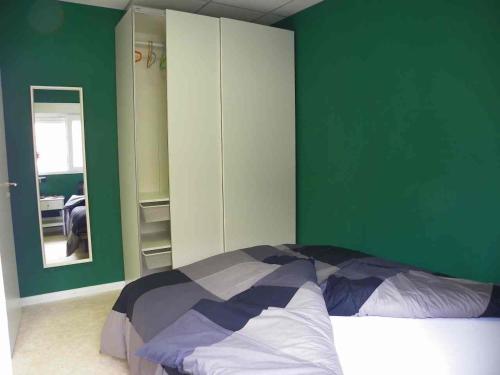 伊科德洛斯维诺斯Casa-Palo-Pique的一间卧室设有绿色的墙壁、一张床和镜子