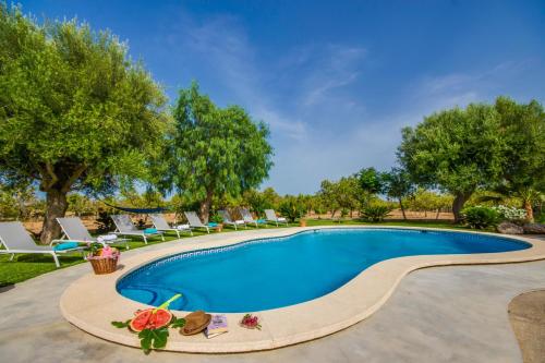圣玛加利达Ideal Property Mallorca - Vernissa的庭院内的游泳池,带椅子和树木