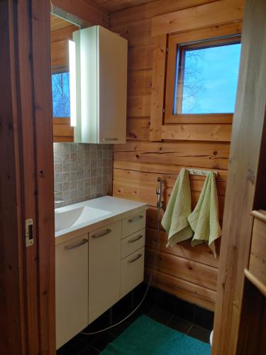KaitainenKaijonselän mökit Kaita的一个带水槽和窗户的小厨房