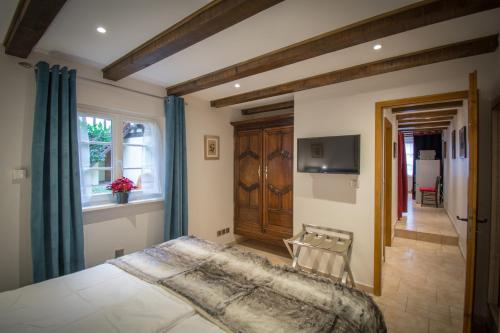 斯特拉斯堡Gite **** des Bains的卧室配有一张床,墙上配有电视。