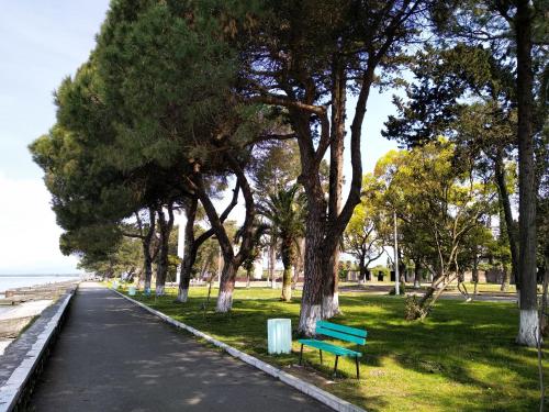 奥恰姆奇拉Чёрное Море的公园里绿树成荫的长凳