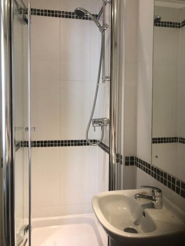 帕特代尔布拉舍斯沃特宾馆的白色的浴室设有水槽和淋浴。