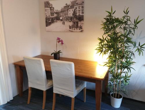 通厄伦Het Begijnhof Tongeren Center的餐桌,配有白色椅子和植物