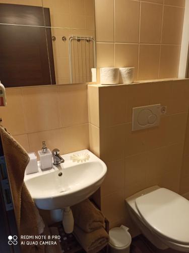 利普托斯基米库拉斯Apartmany Adavy的一间带水槽和卫生间的浴室