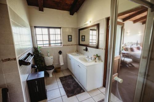 安德伯格Ndawana River Lodge的一间带水槽、卫生间和镜子的浴室