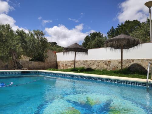 阿洛拉Casa Los Olivos Álora - Caminito del Rey的一个带蓝色水和遮阳伞的游泳池