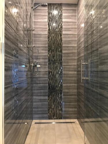 金茨堡Pension Kristalpark的带淋浴的浴室和玻璃门